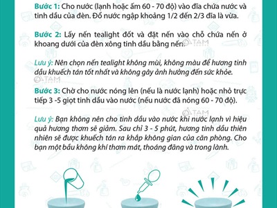Đèn đốt tinh dầu trầm tim màu DDTD-GOM-04